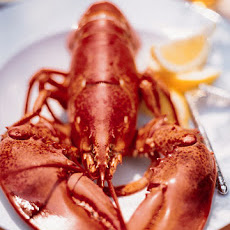 Boiled Maine Lobster