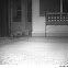 Opossum