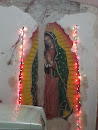 Virgen De Gpe Centenario