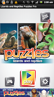 How to install Lizards & Reptiles Puzzles Pro lastet apk for bluestacks