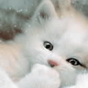 Sweet Baby Cat Live Wallpaper mobile app icon