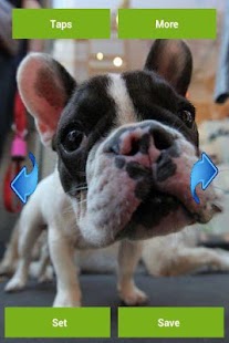 How to mod French bulldogs lastet apk for android