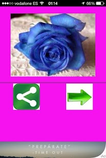 How to download Flores lastet apk for android