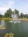 La Fontaine De L'étang