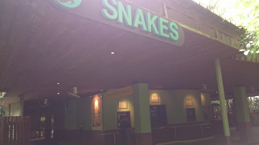 The Snake House