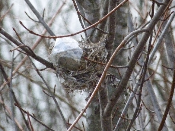 Spotting Image 1