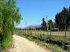 Campo Gran Potencial