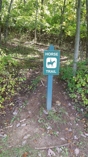 Horse Trail South
