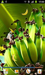 download Banane Live Hintergrund free