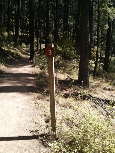 Trail Site 3