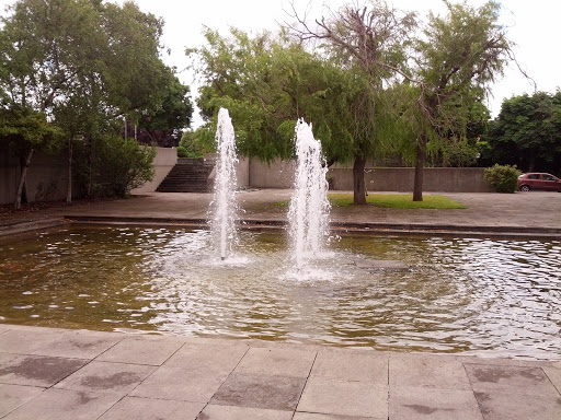 Merrion Hall Fountain