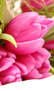 How to download Sweet Flowers Live Wallpaper 1.0 apk for pc