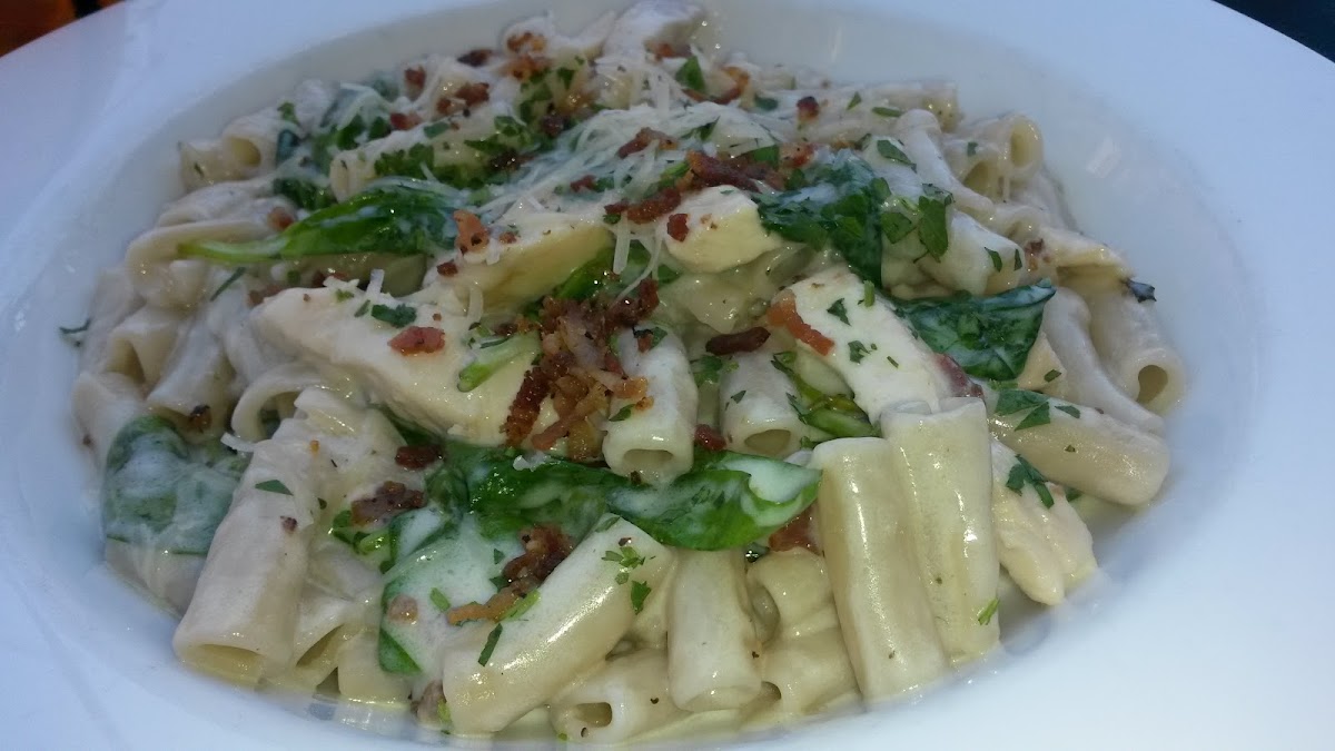 GF pasta in alfredo sauce, chicken and spinach