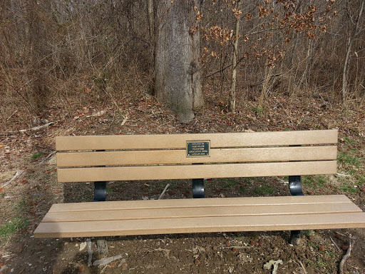 PPVA Bench, Paint Branch Trail