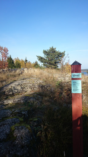 Klampenborg Bronze Age Grave 