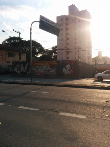 Grafite Gueixa