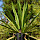 DaneRiva
