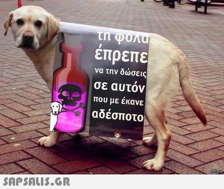 επρεπε να την δωσεις σε αυτον που με εκανε αδέσποτο 