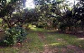 Se Vende Preciosa Quinta En Atenas