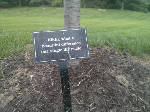 Nikki's beautiful single life memorial tree