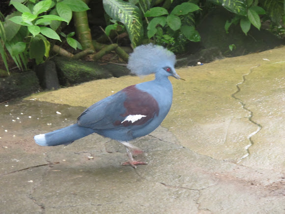 Spotting Image 1