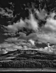 How to get Black and White Photography 1.1 apk for bluestacks