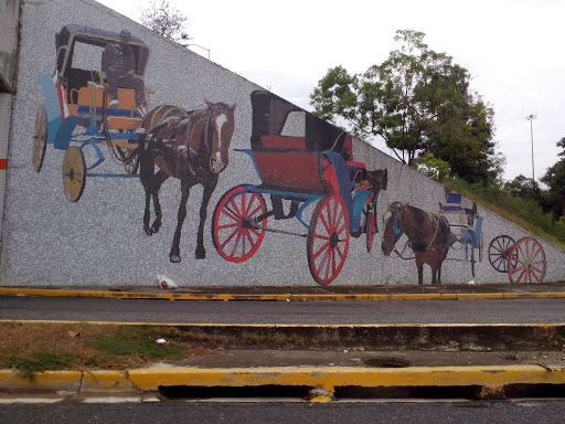 Mural Coches Santiago De Los Caballeros