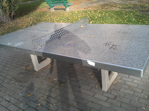 Ping Pong na Parke