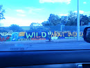Wild About Overlea Mural