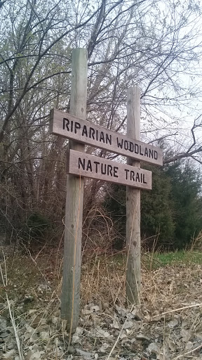 Riparian Woodland