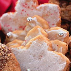 Iced Stars