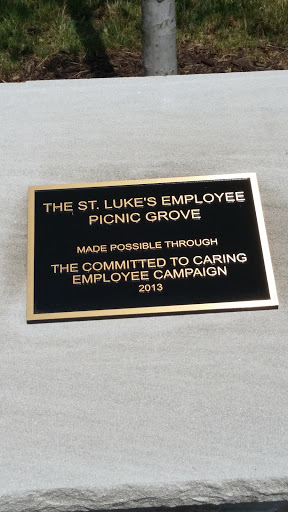 St. Luke's Employee Picnic Grove