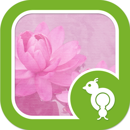 Go Launcher Pink Water Lilies LOGO-APP點子