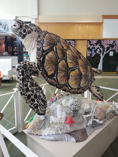 University Mall Turtle 