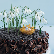 Chocolate Cake with Crepe Paper Flowers and a Phyllo Nest