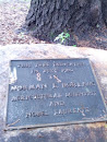 Norman Borlaug Tree