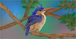 Malachite Kingfisher