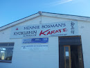 Kyokushin School of Karate