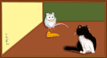 Cat and Mouse