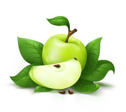 Vector Fruit shutterstock_8194732 Vector Fruit
