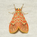 Footman Moth