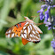 Gulf Fritillary