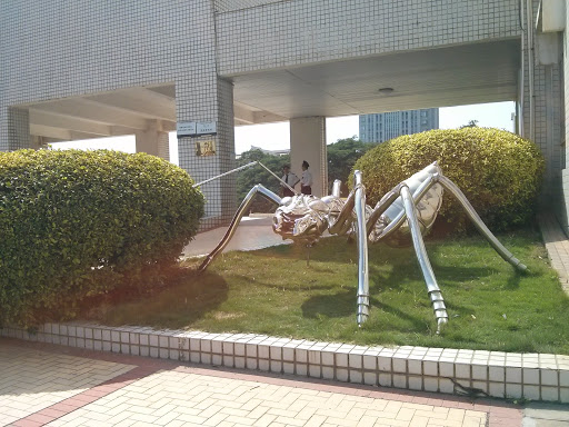 集美大学美术学院-巨型螞蟻
