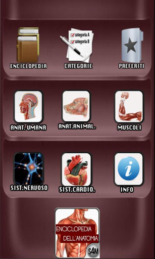 【免費醫療App】Enciclopedia Anatomica-APP點子