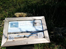 Salt Marshes Trail Sign