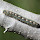 Caterpillar Watch SouthEast US
