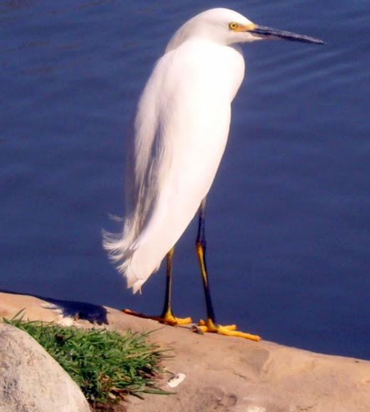 Spotting Image 1
