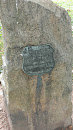 Rear George Washington Memorial Trees