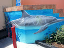 Dolphin Street Art