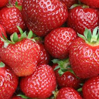 Strawberry Rain